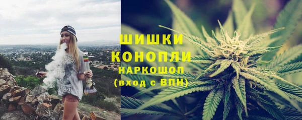 стаф Каменск-Шахтинский