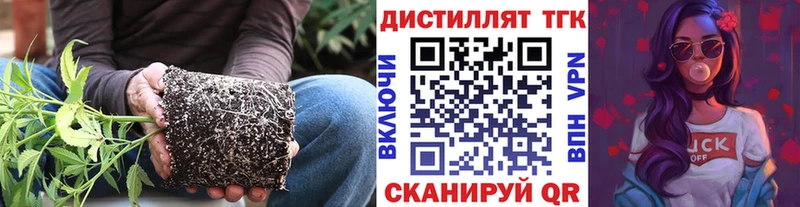 Купить  Сортавала  Дистиллят ТГК Wax 